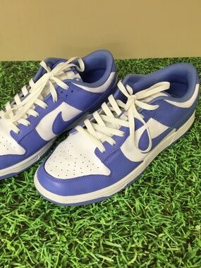 Nike Dunk Low Polar Blue